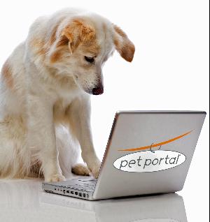 Georgetown Animal Clinic, PC - Veterinarian serving Williamsville, Amherst and Buffalo NY areas: Dog on Computer Georgetown Animal Clinic, PC - Veterinarian serving Williamsville, Amherst and Buffalo NY areas: Dog on Computer