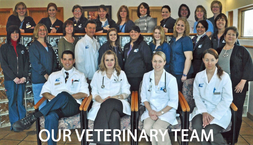 Georgetown Animal Clinic, PC - Veterinarian serving Williamsville, Amherst and Buffalo NY areas - Our Veterinary Team