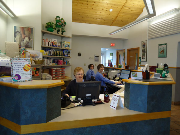 Georgetown Animal Clinic, PC - Veterinarian serving Williamsville, Amherst and Buffalo NY areas: Our Welcoming Crew and Spacious Waiting area