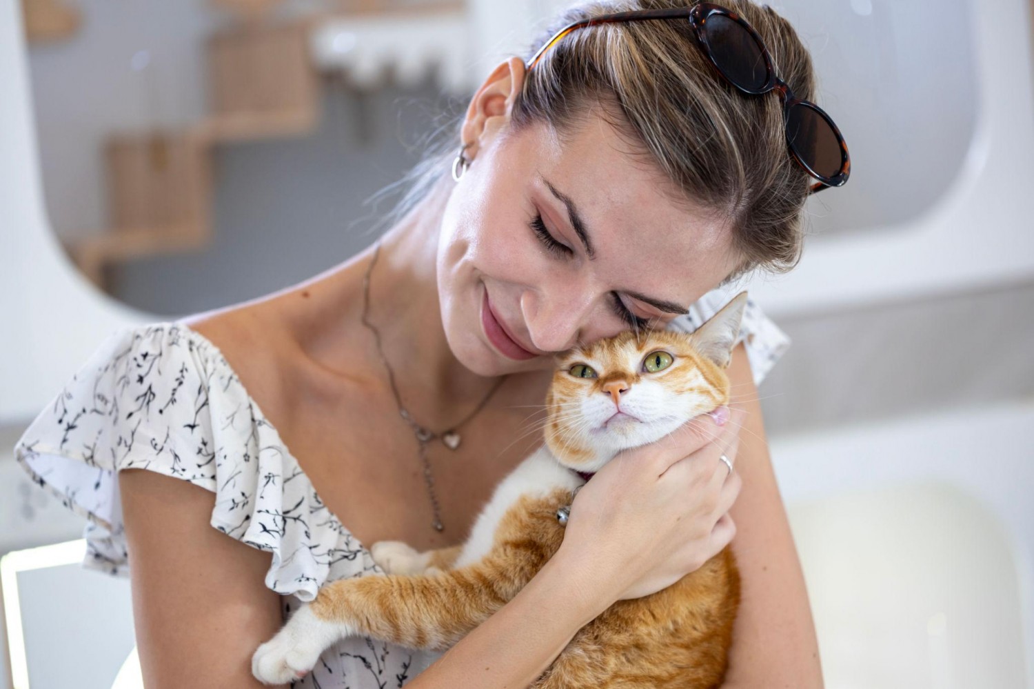 adult wellness cat