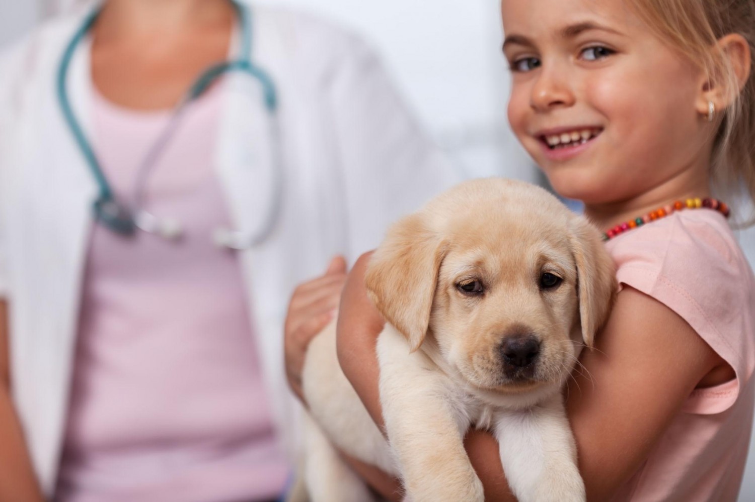 puppy wellness