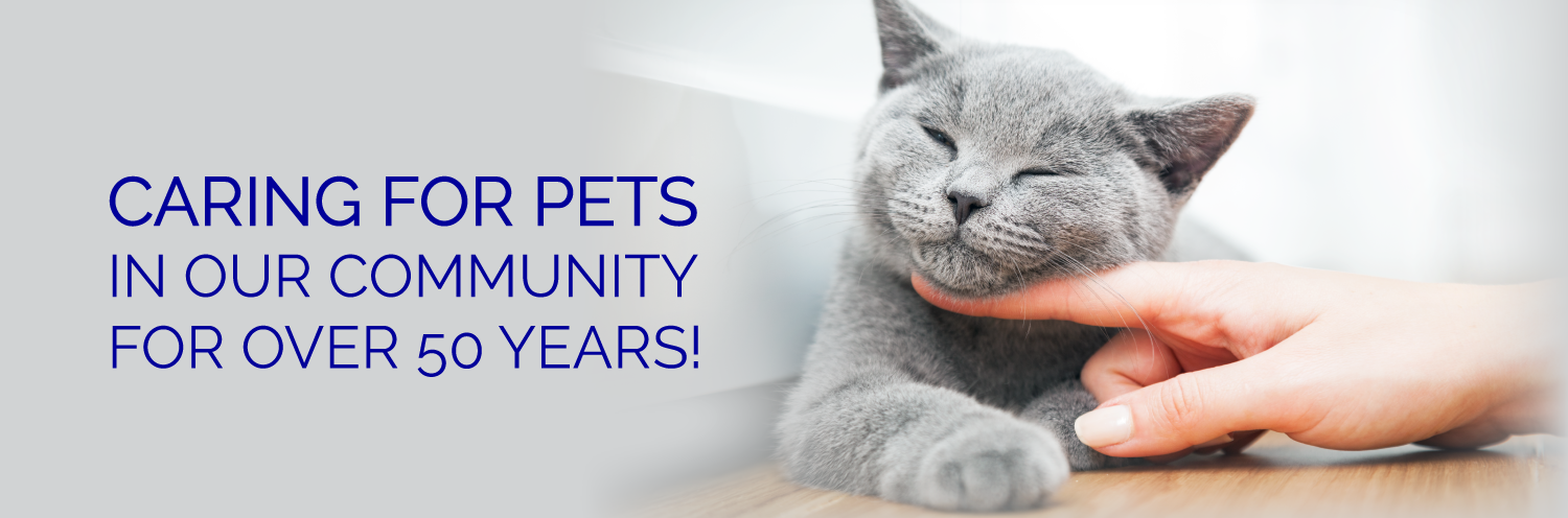 Caring for Pets Over 50 Years